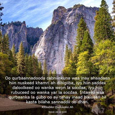 Picture 03 - Tirintii 28:14 SOM - Oo qurbaannadooda cabniinkuna waa inay ahaadaan - Bible Verse Picture