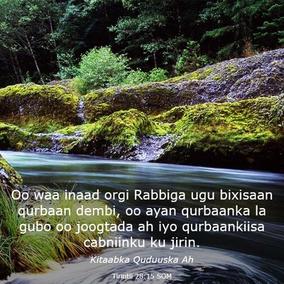 Picture 03 - Tirintii 28:15 SOM - Oo waa inaad orgi Rabbiga ugu bixisaan qurbaan - Bible Verse Picture
