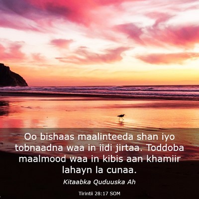 Picture 03 - Tirintii 28:17 SOM - Oo bishaas maalinteeda shan iyo tobnaadna waa in - Bible Verse Picture