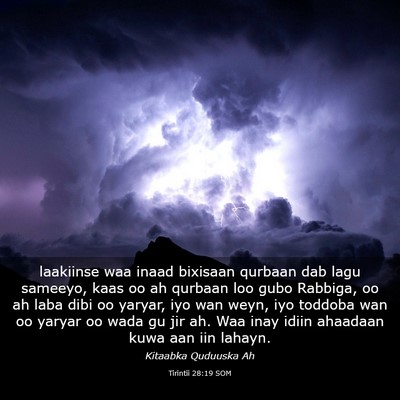 Picture 03 - Tirintii 28:19 SOM - laakiinse waa inaad bixisaan qurbaan dab lagu - Bible Verse Picture