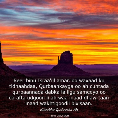Picture 03 - Tirintii 28:2 SOM - Reer binu Israa'iil amar, oo waxaad ku - Bible Verse Picture