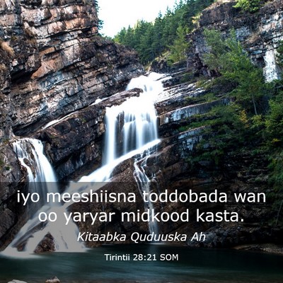 Picture 03 - Tirintii 28:21 SOM - iyo meeshiisna toddobada wan oo yaryar midkood - Bible Verse Picture