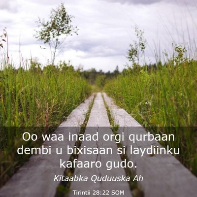 Picture 03 - Tirintii 28:22 SOM - Oo waa inaad orgi qurbaan dembi u bixisaan si - Bible Verse Picture