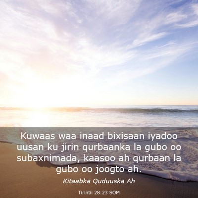 Picture 03 - Tirintii 28:23 SOM - Kuwaas waa inaad bixisaan iyadoo uusan ku jirin - Bible Verse Picture