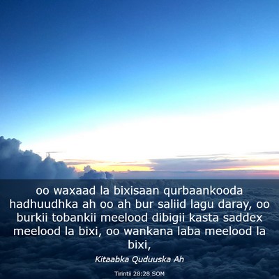 Picture 03 - Tirintii 28:28 SOM - oo waxaad la bixisaan qurbaankooda hadhuudhka ah - Bible Verse Picture