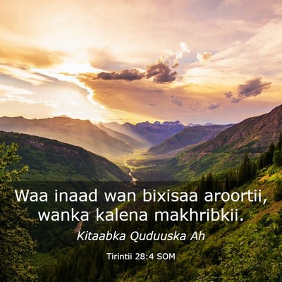 Picture 03 - Tirintii 28:4 SOM - Waa inaad wan bixisaa aroortii, wanka kalena - Bible Verse Picture