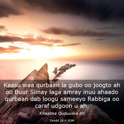 Picture 03 - Tirintii 28:6 SOM - Kaasu waa qurbaan la gubo oo joogto ah oo Buur - Bible Verse Picture