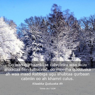 Picture 03 - Tirintii 28:7 SOM - Oo wan qurbaankiisa cabniinku waa inuu ahaadaa - Bible Verse Picture