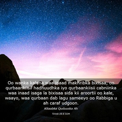 Picture 03 - Tirintii 28:8 SOM - Oo wanka kalena waa inaad makhribka bixisaa, oo - Bible Verse Picture