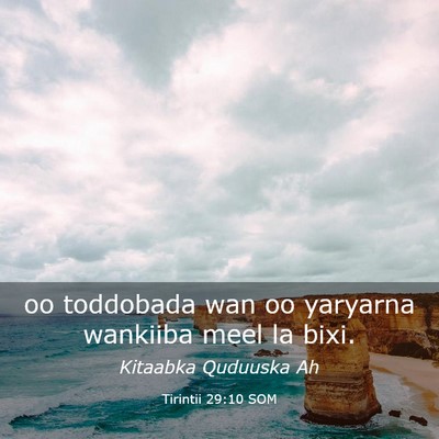 Picture 03 - Tirintii 29:10 SOM - oo toddobada wan oo yaryarna wankiiba meel la - Bible Verse Picture