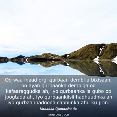Picture 03 - Tirintii 29:11 SOM - Oo waa inaad orgi qurbaan dembi u bixisaan, oo - Bible Verse Picture