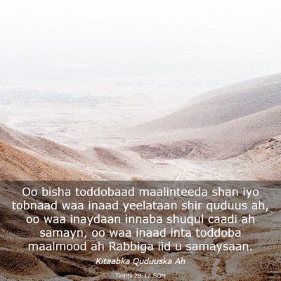 Picture 03 - Tirintii 29:12 SOM - Oo bisha toddobaad maalinteeda shan iyo tobnaad - Bible Verse Picture