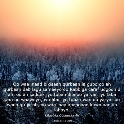 Picture 03 - Tirintii 29:13 SOM - Oo waa inaad bixisaan qurbaan la gubo oo ah - Bible Verse Picture