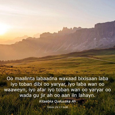 Picture 03 - Tirintii 29:17 SOM - Oo maalinta labaadna waxaad bixisaan laba iyo - Bible Verse Picture