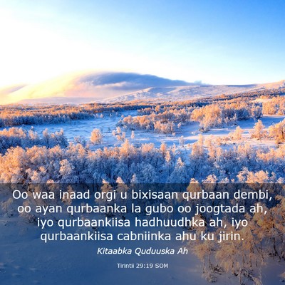 Picture 03 - Tirintii 29:19 SOM - Oo waa inaad orgi u bixisaan qurbaan dembi, oo - Bible Verse Picture