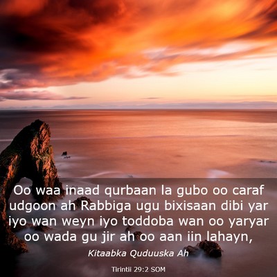 Picture 03 - Tirintii 29:2 SOM - Oo waa inaad qurbaan la gubo oo caraf udgoon ah - Bible Verse Picture