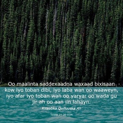Picture 03 - Tirintii 29:20 SOM - Oo maalinta saddexaadna waxaad bixisaan kow iyo - Bible Verse Picture