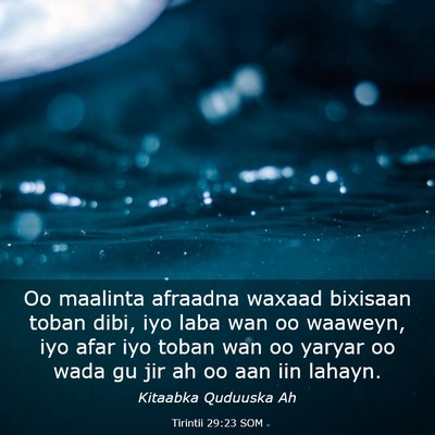 Picture 03 - Tirintii 29:23 SOM - Oo maalinta afraadna waxaad bixisaan toban dibi, - Bible Verse Picture