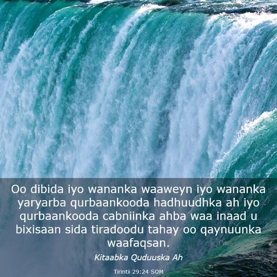 Picture 03 - Tirintii 29:24 SOM - Oo dibida iyo wananka waaweyn iyo wananka - Bible Verse Picture