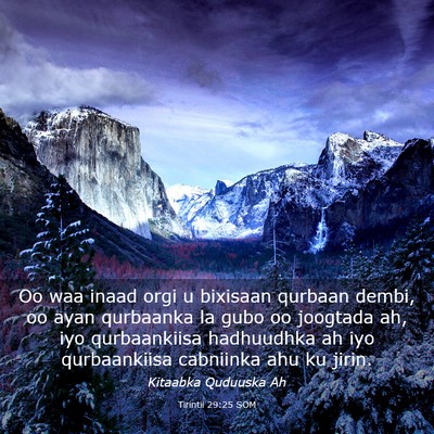 Picture 03 - Tirintii 29:25 SOM - Oo waa inaad orgi u bixisaan qurbaan dembi, oo - Bible Verse Picture
