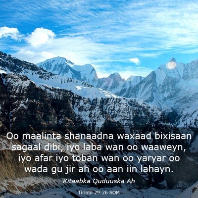 Picture 03 - Tirintii 29:26 SOM - Oo maalinta shanaadna waxaad bixisaan sagaal - Bible Verse Picture