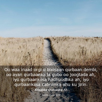 Picture 03 - Tirintii 29:28 SOM - Oo waa inaad orgi u bixisaan qurbaan dembi, oo - Bible Verse Picture