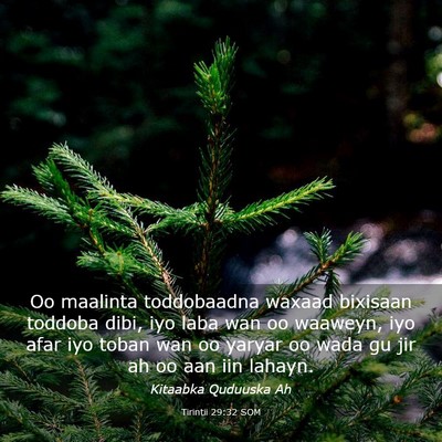 Picture 03 - Tirintii 29:32 SOM - Oo maalinta toddobaadna waxaad bixisaan toddoba - Bible Verse Picture