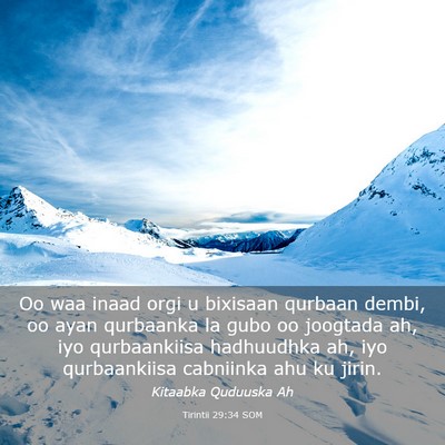 Picture 03 - Tirintii 29:34 SOM - Oo waa inaad orgi u bixisaan qurbaan dembi, oo - Bible Verse Picture
