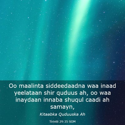 Picture 03 - Tirintii 29:35 SOM - Oo maalinta siddeedaadna waa inaad yeelataan shir - Bible Verse Picture