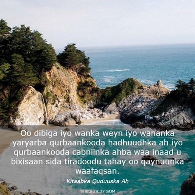 Picture 03 - Tirintii 29:37 SOM - Oo dibiga iyo wanka weyn iyo wananka yaryarba - Bible Verse Picture