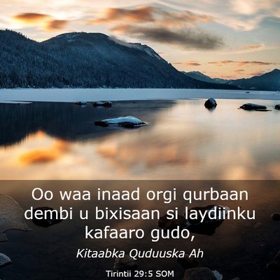 Picture 03 - Tirintii 29:5 SOM - Oo waa inaad orgi qurbaan dembi u bixisaan si - Bible Verse Picture