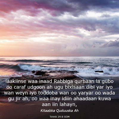 Picture 03 - Tirintii 29:8 SOM - laakiinse waa inaad Rabbiga qurbaan la gubo oo - Bible Verse Picture