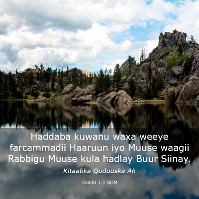 Picture 03 - Tirintii 3:1 SOM - Haddaba kuwanu waxa weeye farcammadii Haaruun iyo - Bible Verse Picture