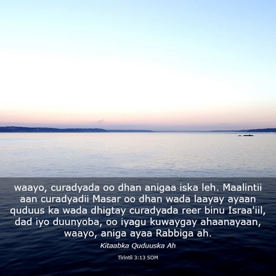 Picture 03 - Tirintii 3:13 SOM - waayo, curadyada oo dhan anigaa iska leh. - Bible Verse Picture