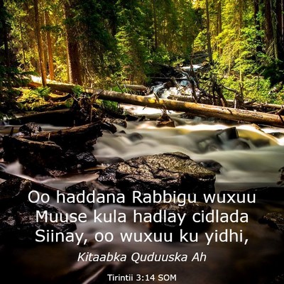 Picture 03 - Tirintii 3:14 SOM - Oo haddana Rabbigu wuxuu Muuse kula hadlay - Bible Verse Picture