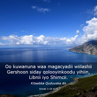 Picture 03 - Tirintii 3:18 SOM - Oo kuwanuna waa magacyadii wiilashii Gershoon - Bible Verse Picture