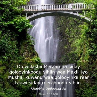 Picture 03 - Tirintii 3:20 SOM - Oo wiilashii Meraariina siday qolooyinkoodu - Bible Verse Picture