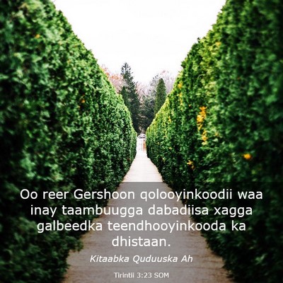 Picture 03 - Tirintii 3:23 SOM - Oo reer Gershoon qolooyinkoodii waa inay - Bible Verse Picture