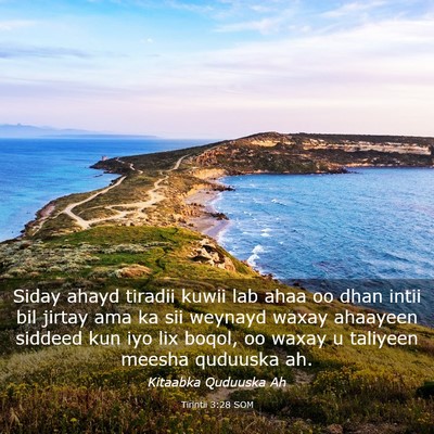 Picture 03 - Tirintii 3:28 SOM - Siday ahayd tiradii kuwii lab ahaa oo dhan intii - Bible Verse Picture