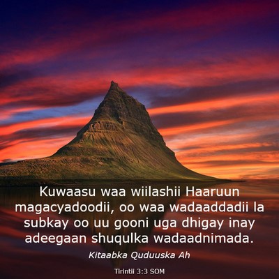 Picture 03 - Tirintii 3:3 SOM - Kuwaasu waa wiilashii Haaruun magacyadoodii, oo - Bible Verse Picture