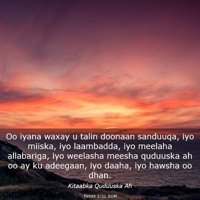 Picture 03 - Tirintii 3:31 SOM - Oo iyana waxay u talin doonaan sanduuqa, iyo - Bible Verse Picture