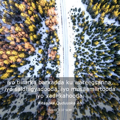 Picture 03 - Tirintii 3:37 SOM - iyo tiirarka barxadda ku wareegsanna, iyo - Bible Verse Picture