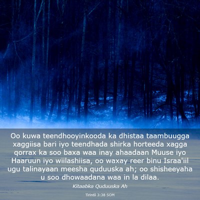 Picture 03 - Tirintii 3:38 SOM - Oo kuwa teendhooyinkooda ka dhistaa taambuugga - Bible Verse Picture