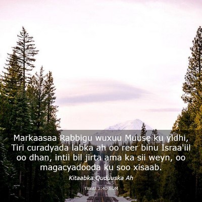 Picture 03 - Tirintii 3:40 SOM - Markaasaa Rabbigu wuxuu Muuse ku yidhi, Tiri - Bible Verse Picture