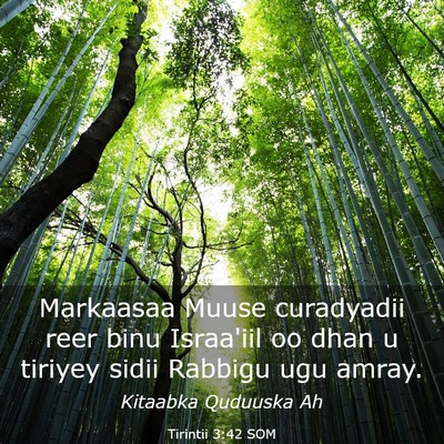 Picture 03 - Tirintii 3:42 SOM - Markaasaa Muuse curadyadii reer binu Israa'iil oo - Bible Verse Picture
