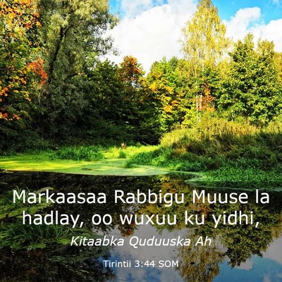 Picture 03 - Tirintii 3:44 SOM - Markaasaa Rabbigu Muuse la hadlay, oo wuxuu ku - Bible Verse Picture