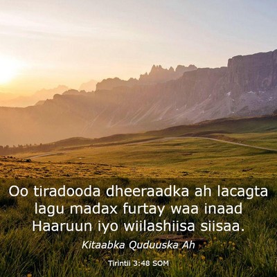 Picture 03 - Tirintii 3:48 SOM - Oo tiradooda dheeraadka ah lacagta lagu madax - Bible Verse Picture