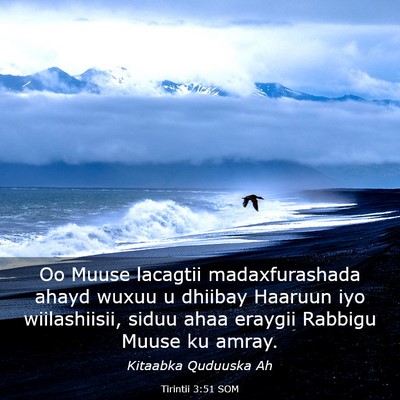 Picture 03 - Tirintii 3:51 SOM - Oo Muuse lacagtii madaxfurashada ahayd wuxuu u - Bible Verse Picture