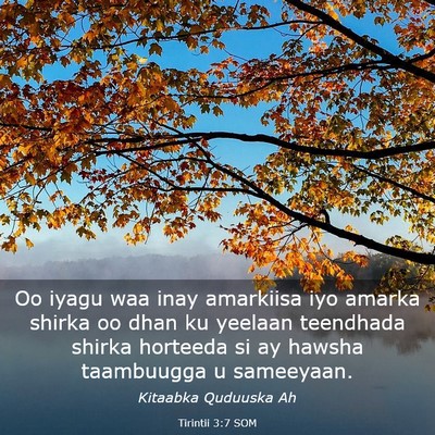Picture 03 - Tirintii 3:7 SOM - Oo iyagu waa inay amarkiisa iyo amarka shirka oo - Bible Verse Picture