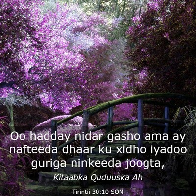 Picture 03 - Tirintii 30:10 SOM - Oo hadday nidar gasho ama ay nafteeda dhaar ku - Bible Verse Picture
